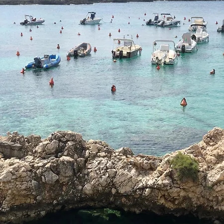 Accasato Nardo